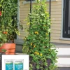 Gardener’s Victory Self-Watering Planter Garden With Vine Trellis