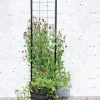 Gardener’s Victory Self-Watering Planter With Vine Trellis