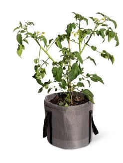 Reinforced Colorful Grow Bags 11 Reinforced Colorful Grow Bags -Green Haven Shop 8600229 0944 tif