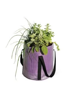 Reinforced Colorful Grow Bags 8 Reinforced Colorful Grow Bags -Green Haven Shop 8600230 0948 tif