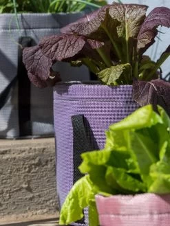 Reinforced Colorful Grow Bags 9 Reinforced Colorful Grow Bags -Green Haven Shop 8600230 20013 tif