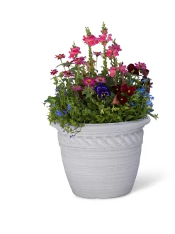 Cortina Self-Watering Planters -Green Haven Shop 8600316 19838 tif