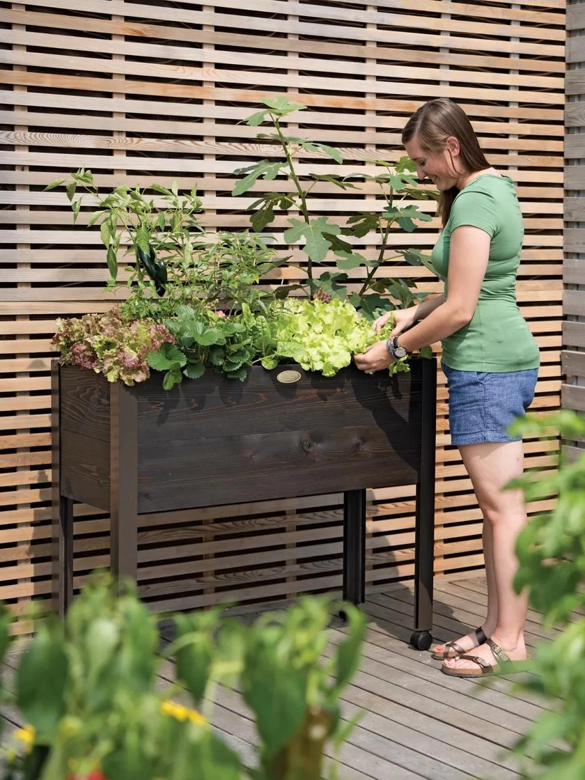 Eco-Stain Rolling Patio Garden 1 Eco-Stain Rolling Patio Garden