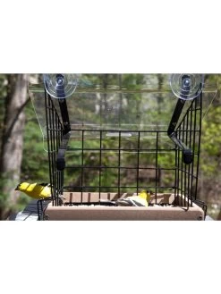 Birds Choice Window Mount Bird Feeder Kits 10 Birds Choice Window Mount Bird Feeder Kits -Green Haven Shop 8608818 01v