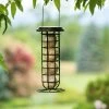 Suet Ball & Feeder Combo Set