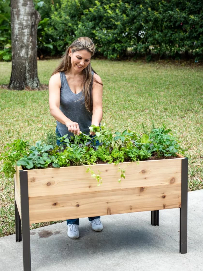 Self-Watering Elevated Planter Box, 2' X 4' 1 Self-Watering Elevated Planter Box, 2' X 4'
