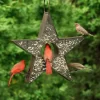 Star Fly-Thru™ Bird Feeder