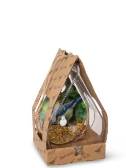 Dewdrop Window Bird Feeder 7 Dewdrop Window Bird Feeder -Green Haven Shop 8609061 4444 tif
