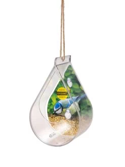 Dewdrop Window Bird Feeder 6 Dewdrop Window Bird Feeder -Green Haven Shop 8609061 4447 tif