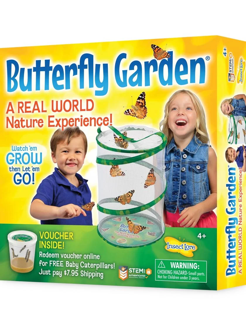 Butterfly Garden® Kit With Voucher 6 Butterfly Garden® Kit With Voucher - Image 6