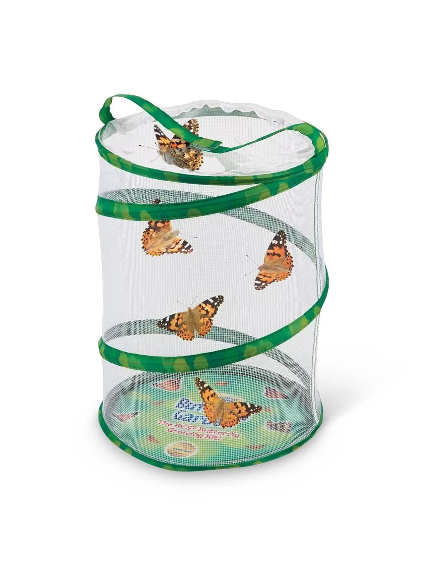 Butterfly Garden® Kit With Voucher 2 Butterfly Garden® Kit With Voucher - Image 2