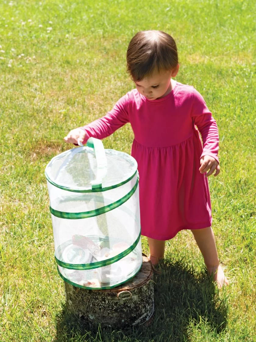 Butterfly Garden® Kit With Voucher 1 Butterfly Garden® Kit With Voucher