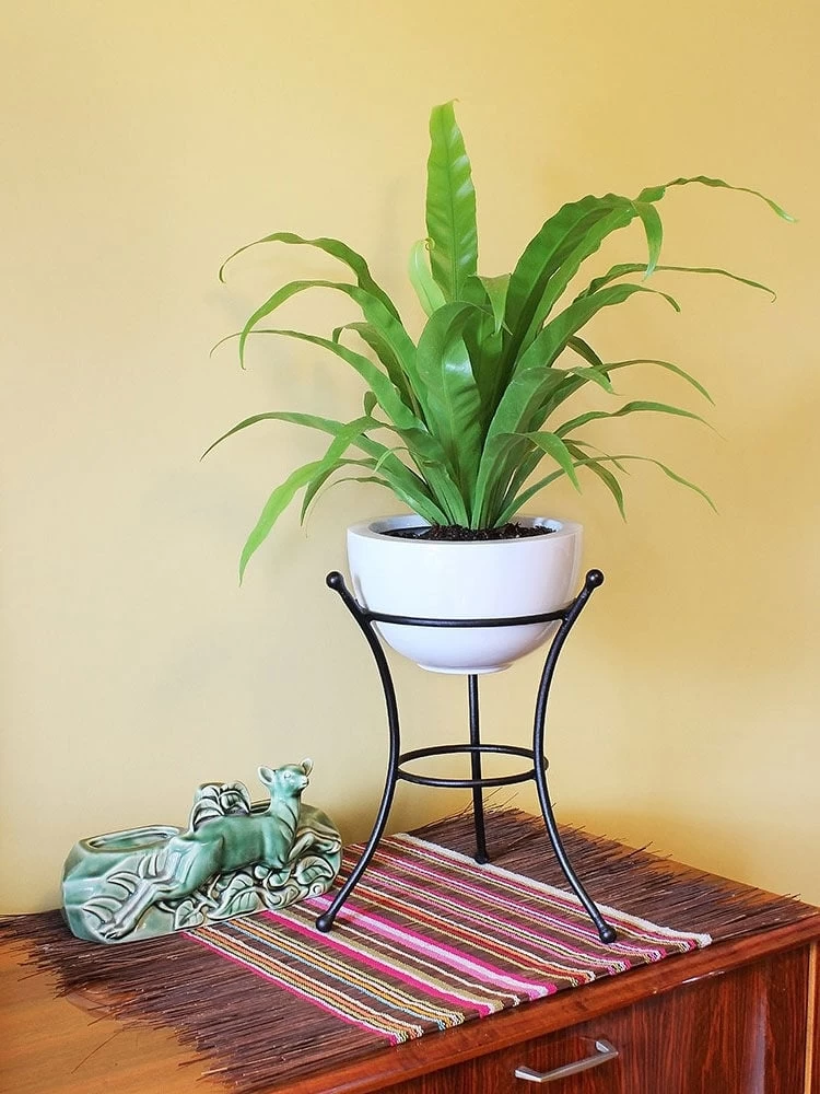 Achla Designs Multi Use Stand 2 Achla Designs Multi Use Stand - Image 2