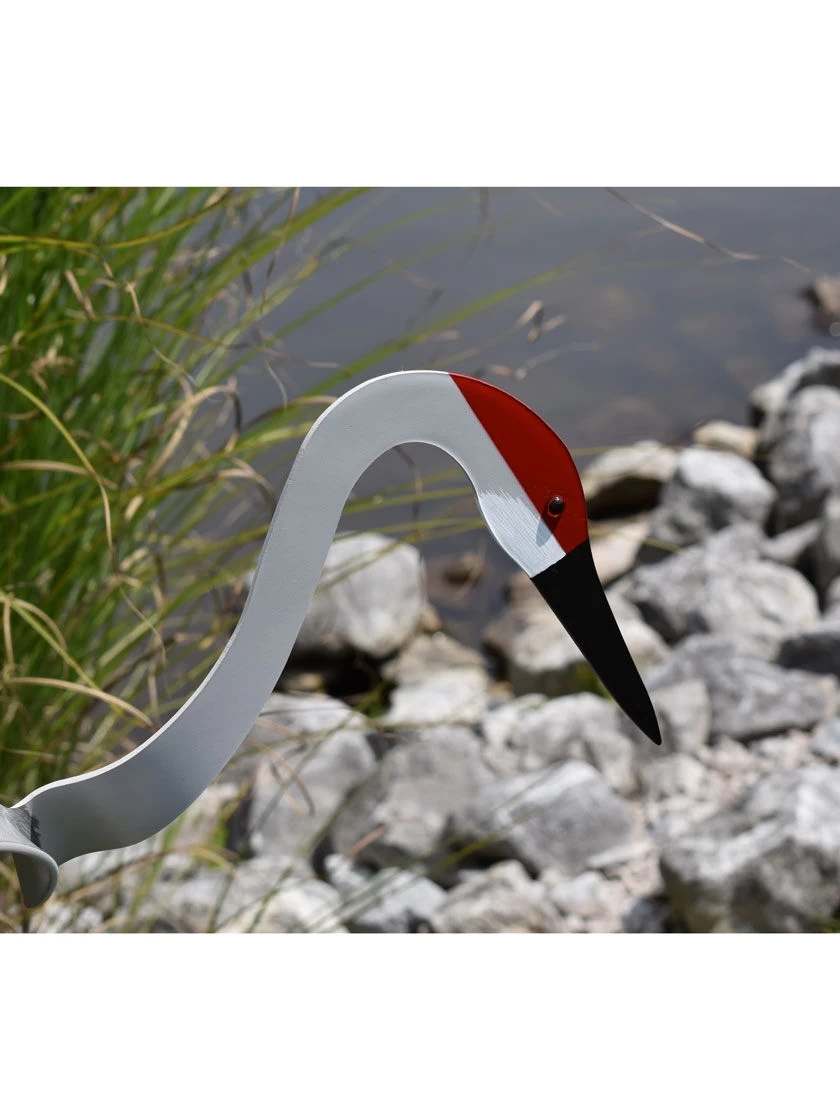 Florida Dancing Birds®, Sand Hill Crane 2 Florida Dancing Birds®, Sand Hill Crane - Image 2