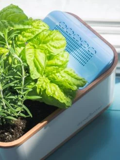 Dewplanter 8 Dewplanter -Green Haven Shop 8609512 04V