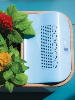 Dewplanter 7 Dewplanter -Green Haven Shop 8609512 Dewplanter