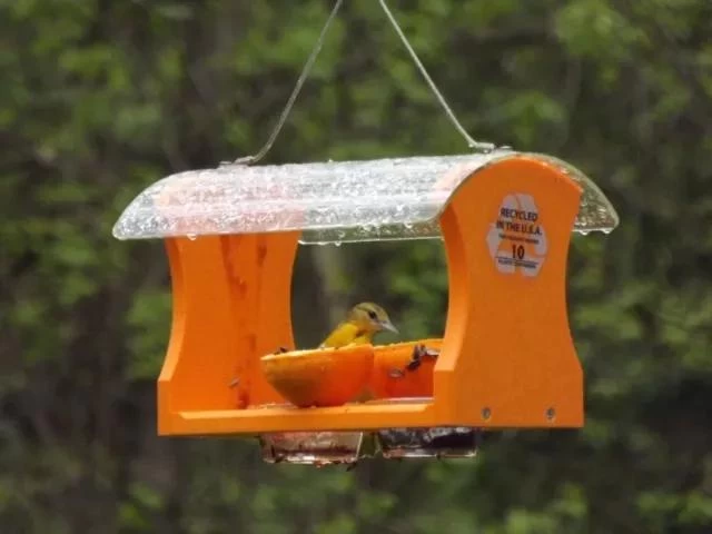 Birds Choice™ Oriole Feeder 2 Birds Choice™ Oriole Feeder - Image 2
