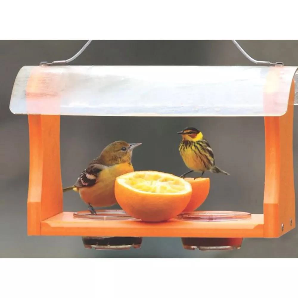 Birds Choice™ Oriole Feeder 3 Birds Choice™ Oriole Feeder - Image 3