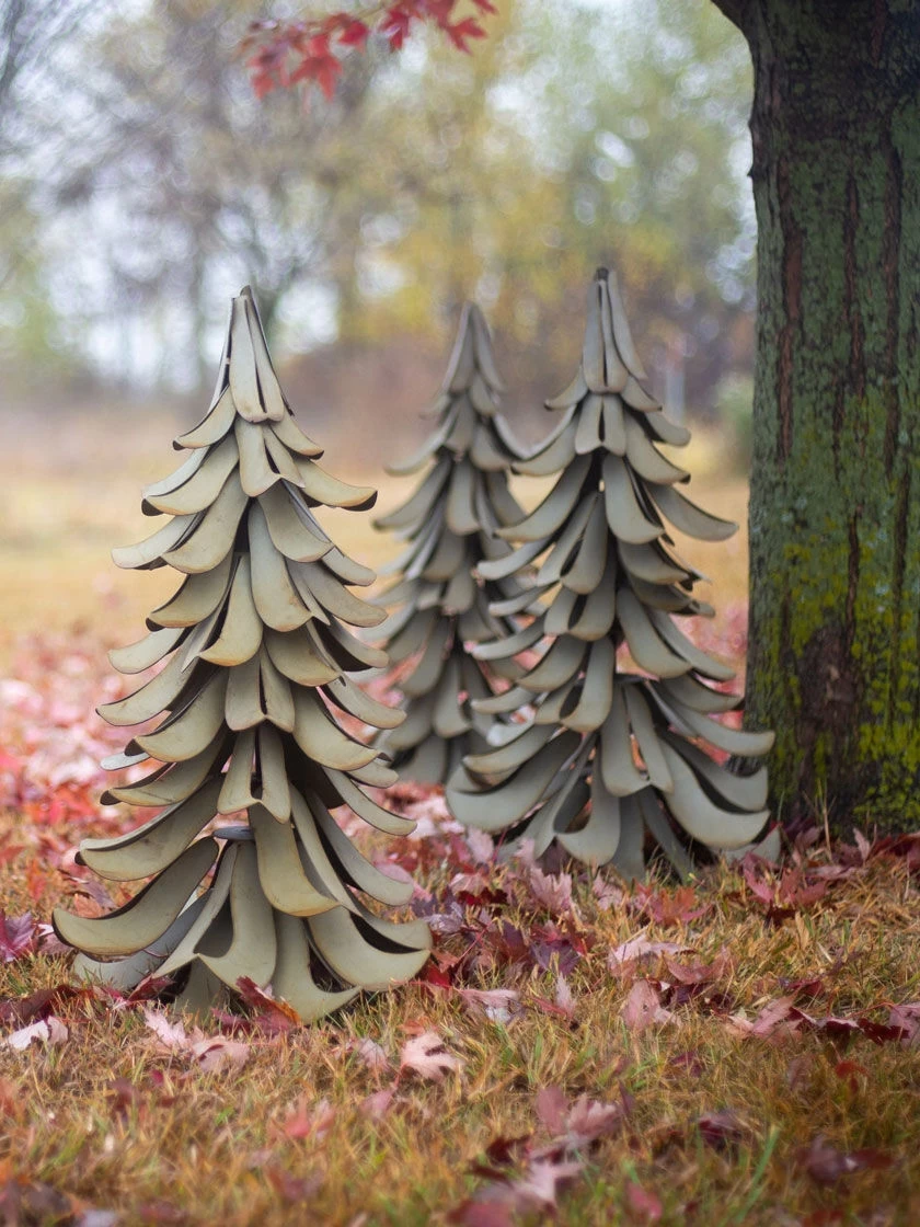 Desert Steel Blue Atlas Cedar 4 Desert Steel Blue Atlas Cedar - Image 4