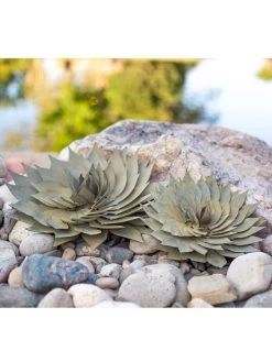 Desert Steel Spiral Aloe Sculpture -Green Haven Shop 8610749 04v