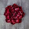Desert Steel Ruby Rose Succulent Sculpture, Small