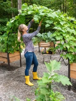 2’ X 8’ Arch Trellis For Planter Boxes 13 2’ X 8’ Arch Trellis For Planter Boxes -Green Haven Shop 8610798 050 tif