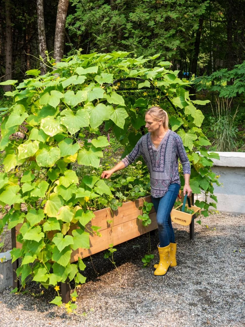 2’ X 8’ Arch Trellis For Planter Boxes 2 2’ X 8’ Arch Trellis For Planter Boxes - Image 2