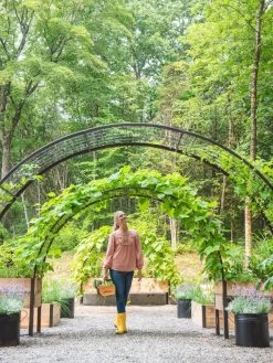 2’ X 8’ Arch Trellis For Planter Boxes 12 2’ X 8’ Arch Trellis For Planter Boxes -Green Haven Shop 8610798 071 tif