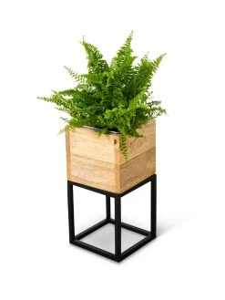 Tartu Elevated Square Planters 17 Tartu Elevated Square Planters -Green Haven Shop 8611004 038