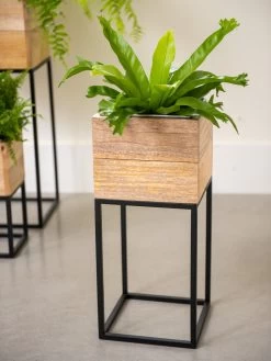 Tartu Elevated Square Planters 13 Tartu Elevated Square Planters -Green Haven Shop 8611005 035