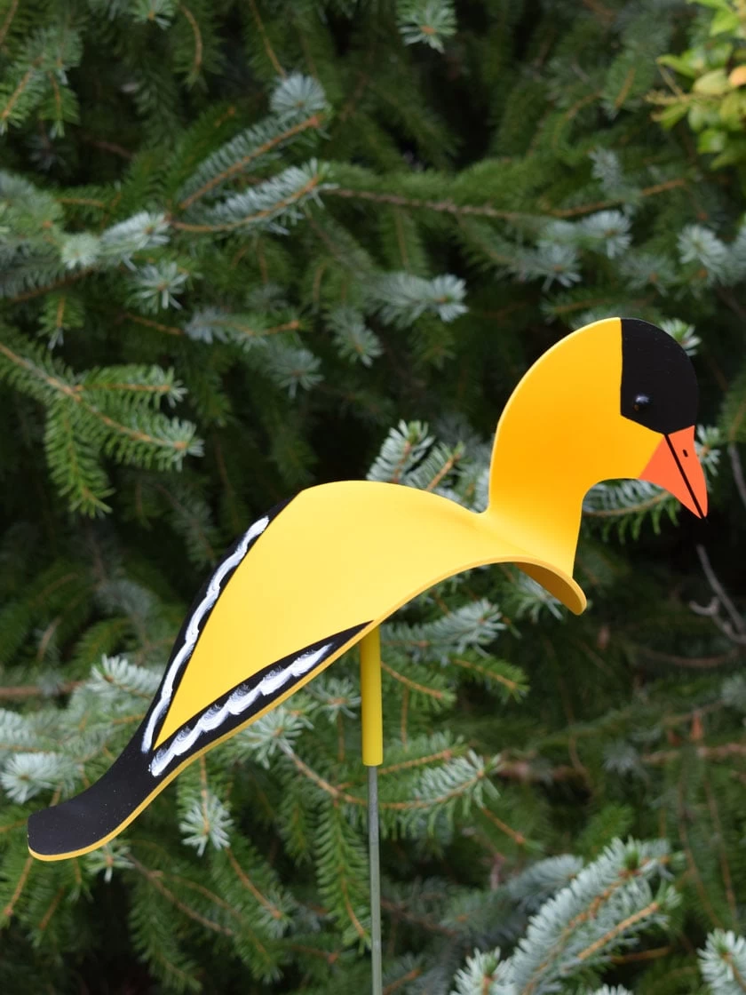 Florida Dancing Birds®, Songbirds 4 Florida Dancing Birds®, Songbirds - Image 4