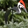 Florida Dancing Birds®, Pileated Woodpecker