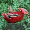 Desert Steel Sunset Peony Bird Feeder