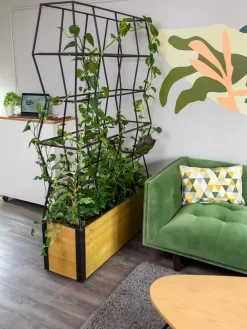 Self-Watering Partition Planter 8 Self-Watering Partition Planter -Green Haven Shop 8611952 001 tif