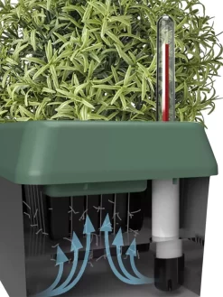 Provence Self-Watering Herb Planter 8 Provence Self-Watering Herb Planter -Green Haven Shop 8611965 05V tif