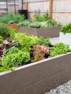 Somerset Metal Raised Beds, As Is -Green Haven Shop 8612020 002 tif