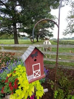 Summitville Stable Bird House -Green Haven Shop 8612121 05v