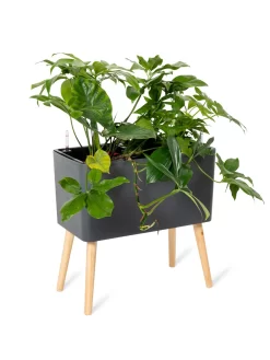 Ava Self-Watering Rectangular Planter -Green Haven Shop 8612691 0013