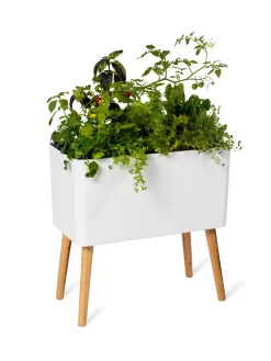 Ava Self-Watering Rectangular Planter -Green Haven Shop 8612691 0014