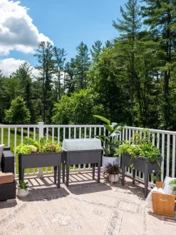 Self-Watering Standing Salad Planter With Cloche -Green Haven Shop 8612702 2002 tif