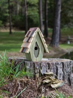 Vintage Wren Bird House -Green Haven Shop 8612783 02v