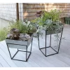 Achla Designs Arne Plant Stand