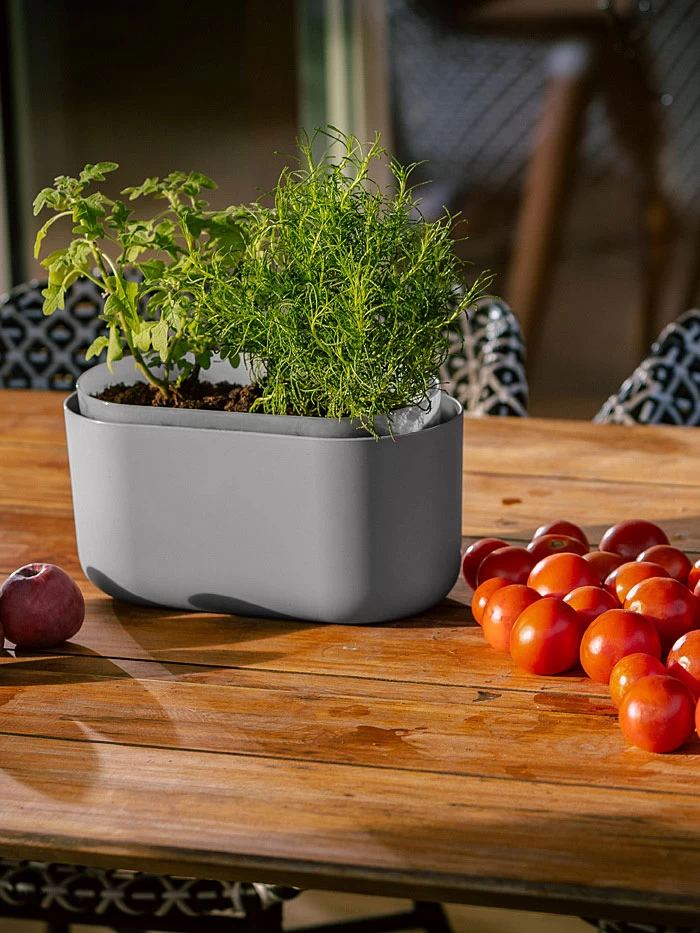 Tolita Recycled Self-Watering Flower Box 1 Tolita Recycled Self-Watering Flower Box