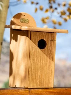 Spruce Creek Bluebird House