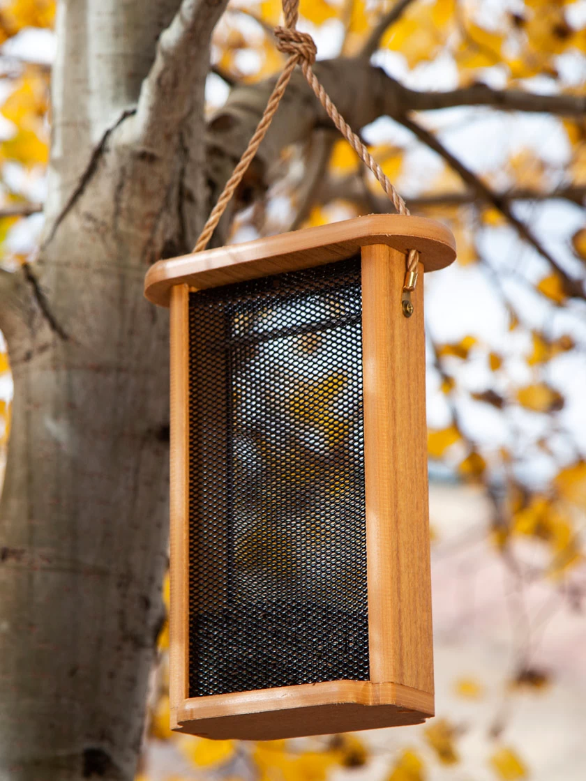 Spruce Creek Tall Finch Feeder 1 Spruce Creek Tall Finch Feeder