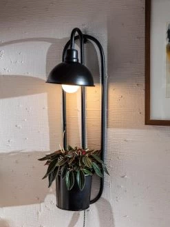 Kira Grow Light Hanging Planter