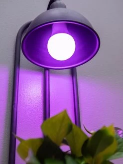 Kira Grow Light Hanging Planter 8 Kira Grow Light Hanging Planter -Green Haven Shop 8613232 5663