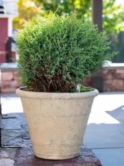 Self-Watering LavaStone® Anson Pot -Green Haven Shop 8613255 0144