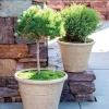 Self-Watering LavaStone® Anson Pot