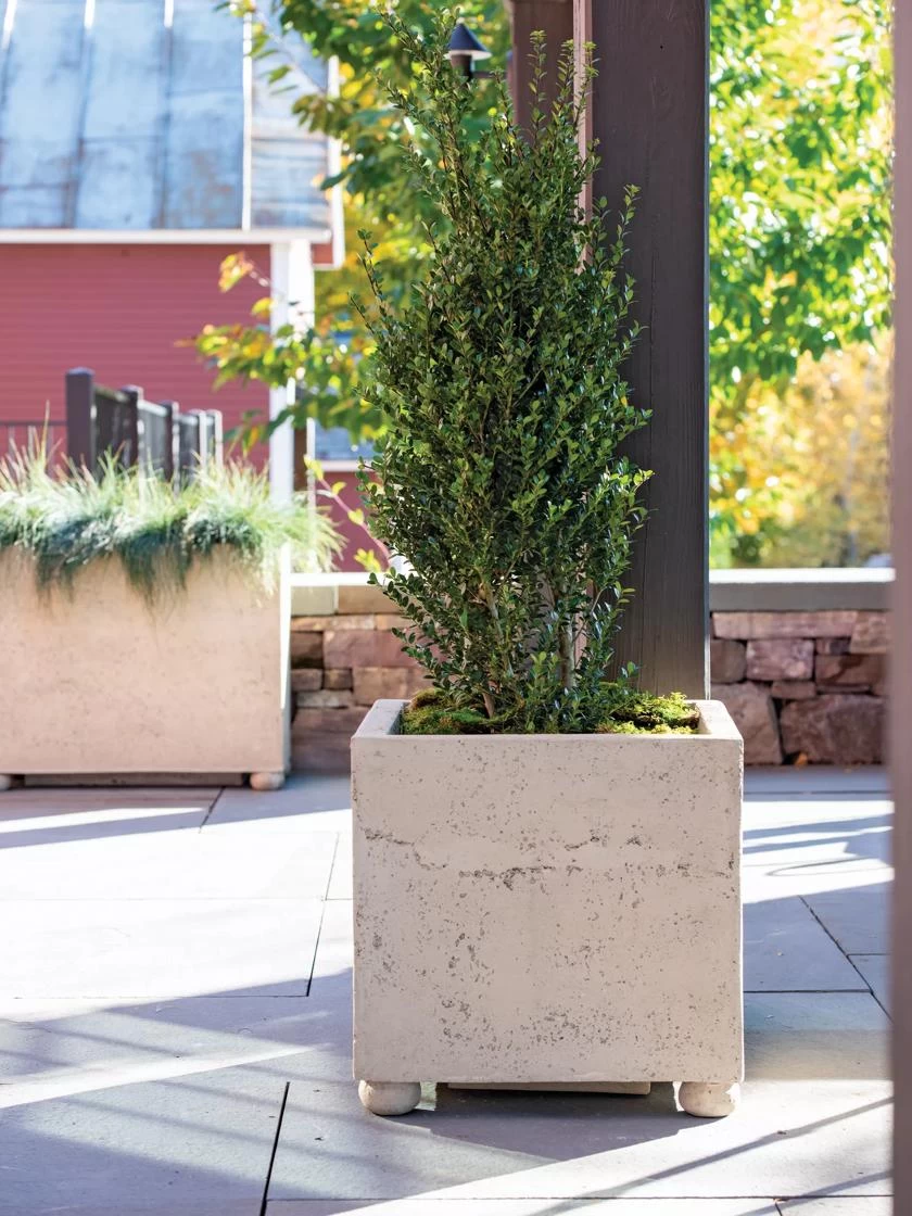 Self-Watering LavaStone® Modern Square 1 Self-Watering LavaStone® Modern Square